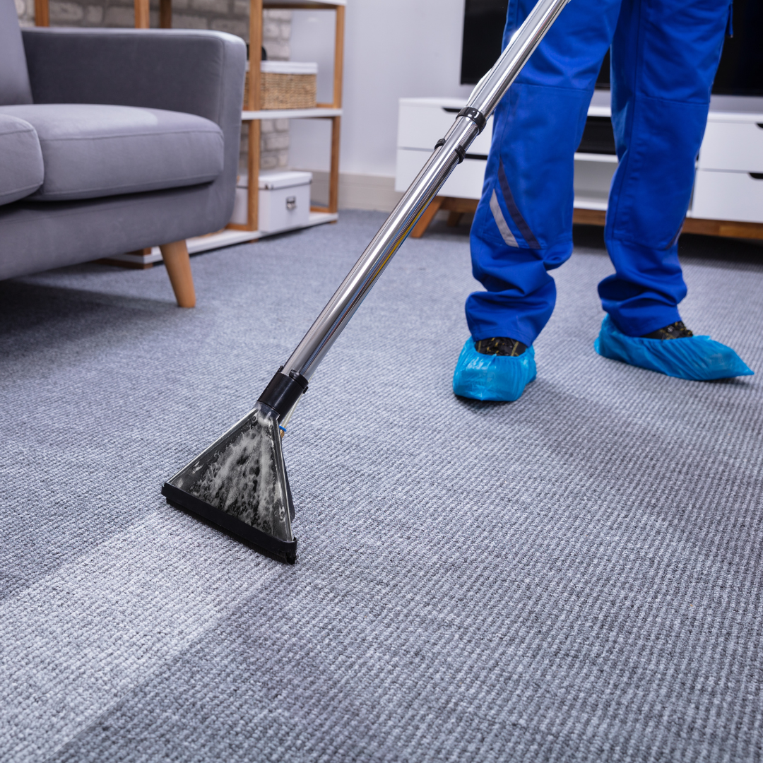 Carpet Shampoo
